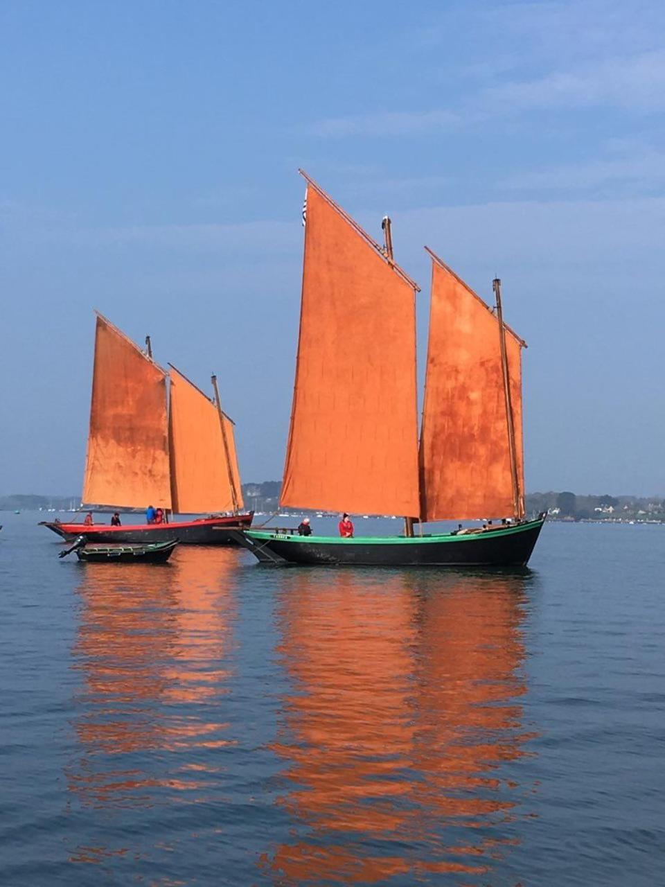 1 2 3 Chambres Entre La Presqu Ile De Rhuys Et Le Golfe Du Morbihan Theix Екстер'єр фото